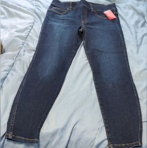 NWT Spanx Ankle Skinny Jean - Midnight Shade